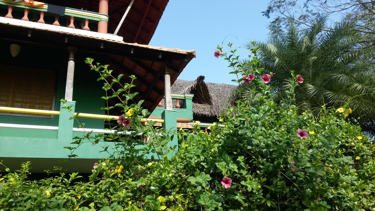 Green'S Guest House Όρβιλ Εξωτερικό φωτογραφία